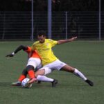 Zeerobben stelt teleur