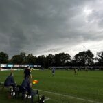 Briedende hintsjes matte je net steure!