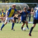 In dissel met in byl, is ’t wapen fan Ouwe Syl