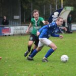 Samenvatting: LSC 1890 – Oldeholtpade